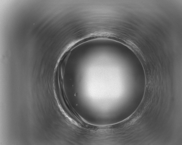 X0000058120989200509301922