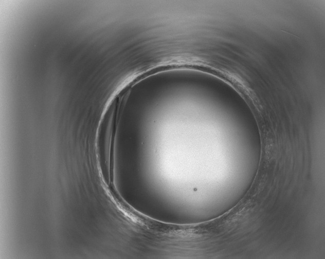 X0000058120990200509301922