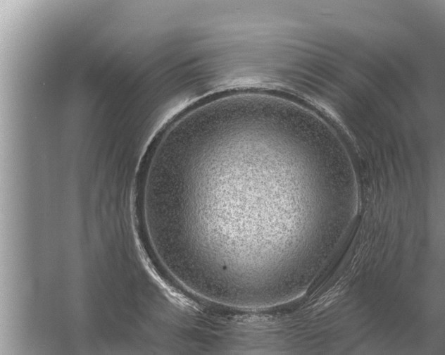 X0000058120991200509301922