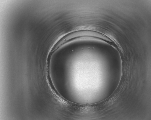 X0000058120992200509301922