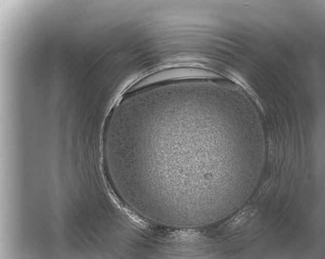 X0000058120994200509301922