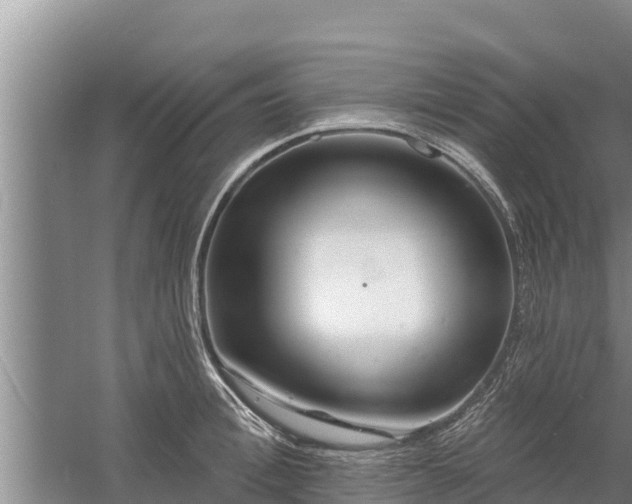 X0000058120996200509301922