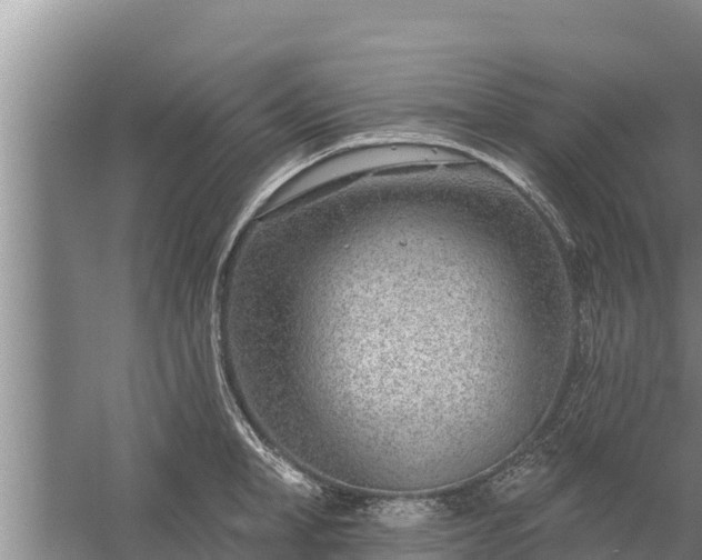 X0000058120998200509301922