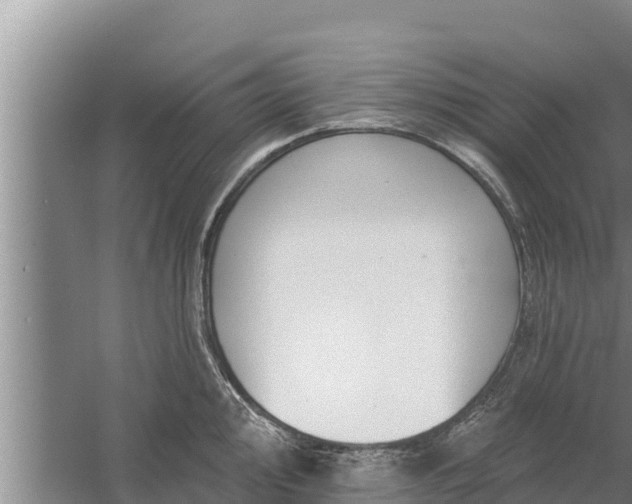 X0000058121000200509301922