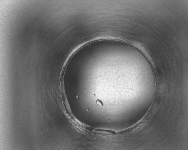 X0000058121004200509301922