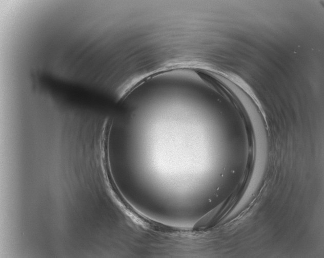 X0000058121005200509301922