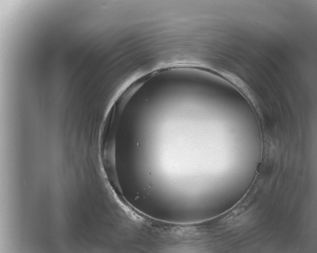 X0000058121006200509301922