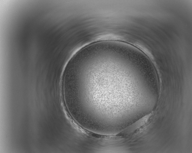 X0000058121008200509301922