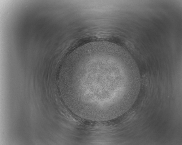 X0000058121009200509301921