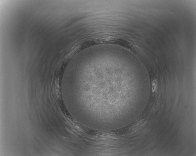 X0000058121011200509301921