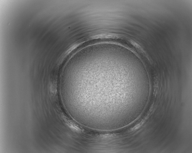 X0000058121017200509301921