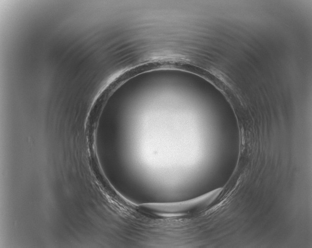 X0000058121022200509301921