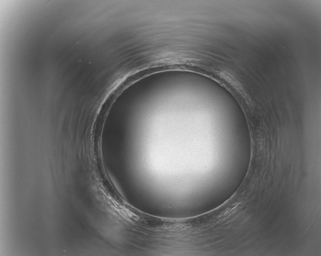 X0000058121023200509301921