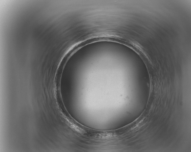 X0000058121024200509301921