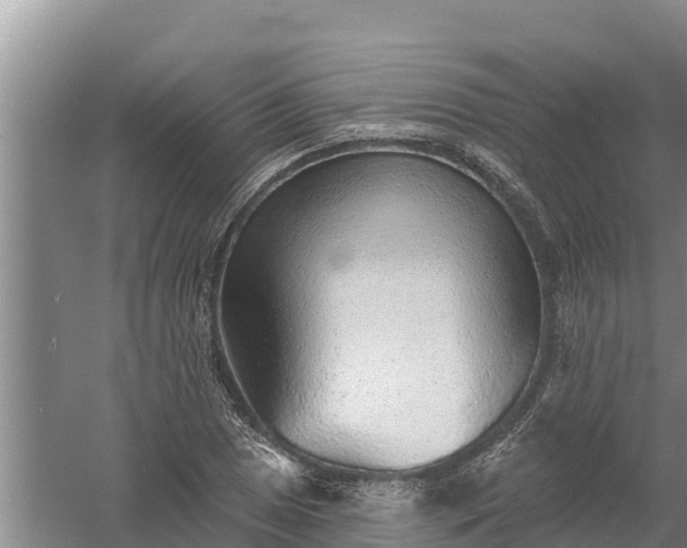 X0000058121025200509301921