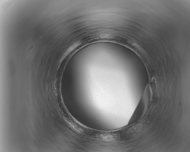 X0000058121026200509301921