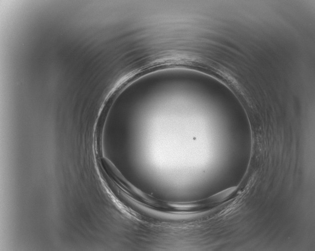 X0000058121034200509301921