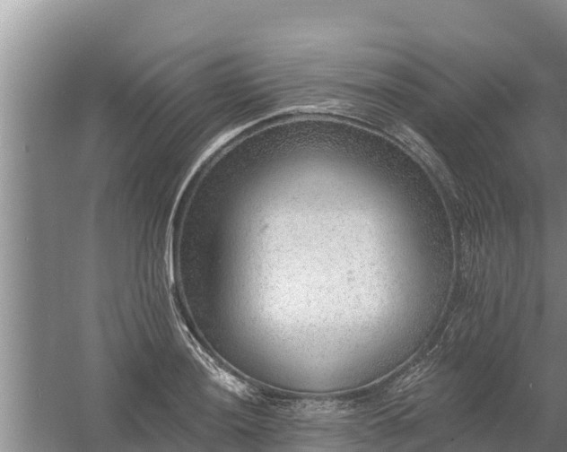 X0000058121036200509301921