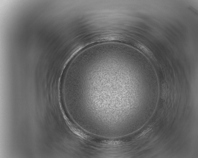 X0000058121039200509301921