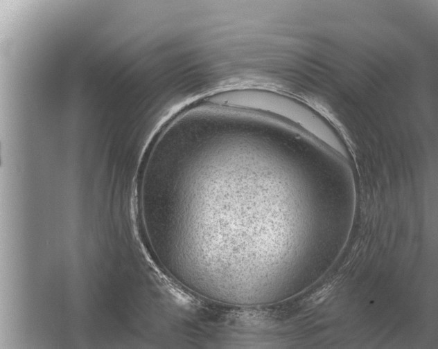 X0000058121040200509301921