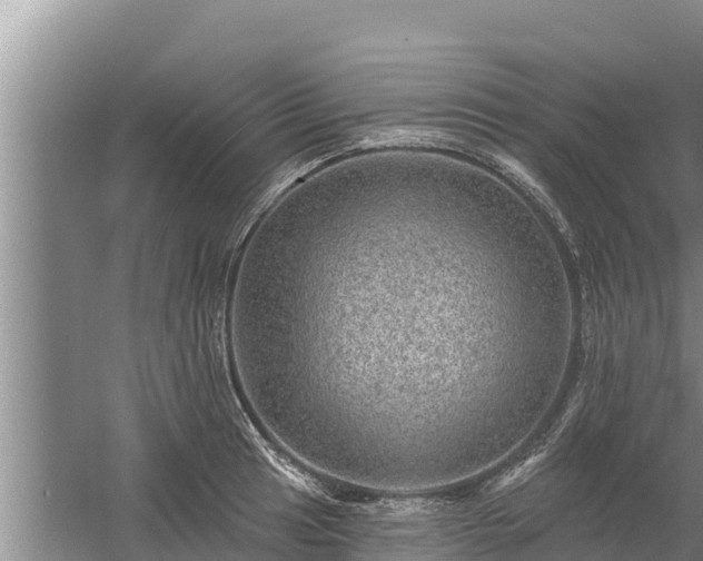 X0000058121041200509301921