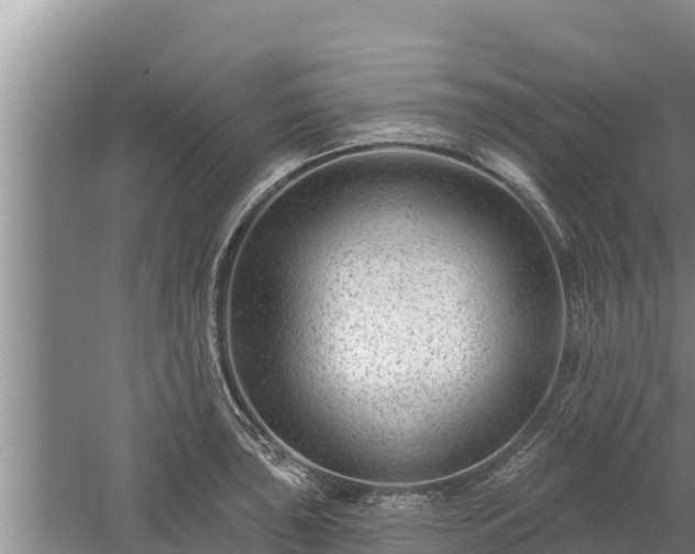 X0000058121043200509301921