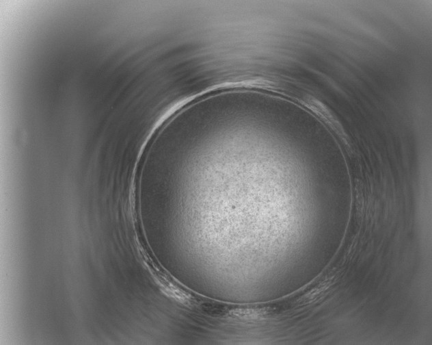 X0000058121044200509301921