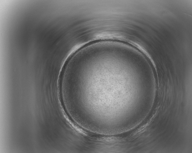 X0000058121045200509301921