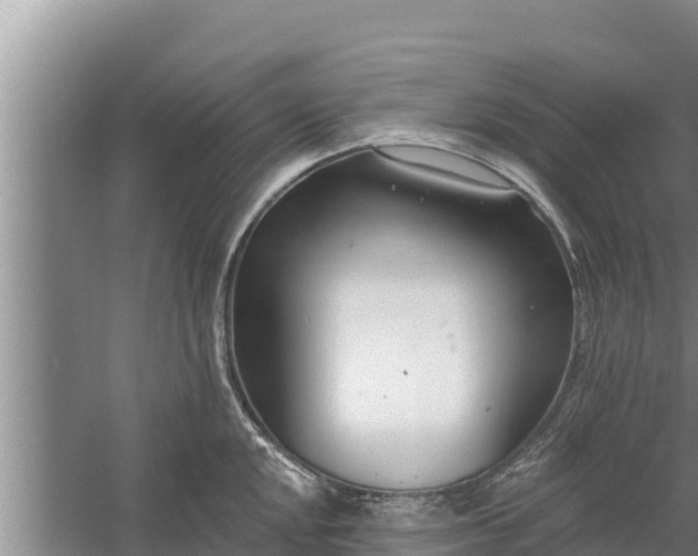 X0000058121048200509301921