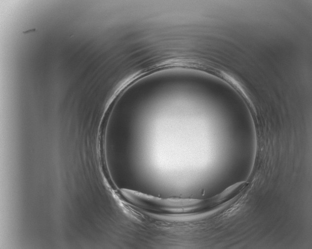 X0000058121050200509301922