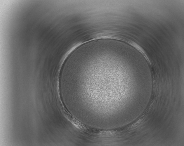 X0000058121051200509301922