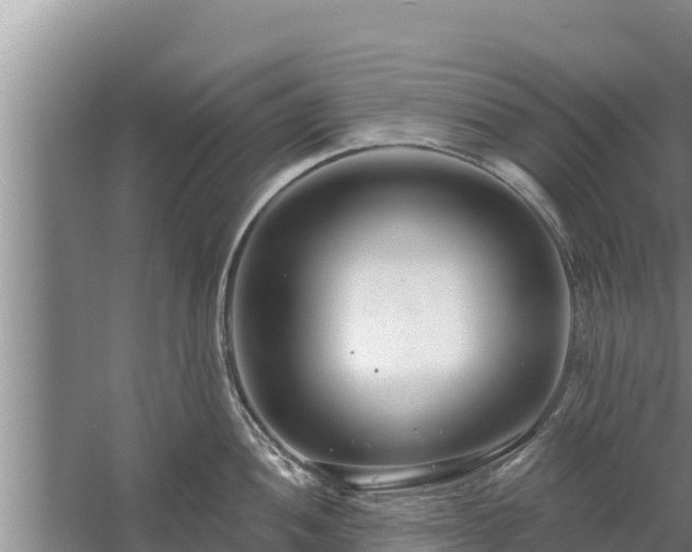 X0000058121052200509301922