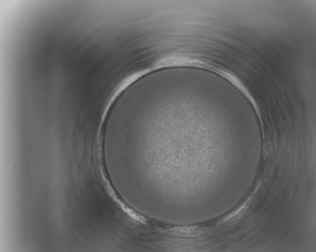 X0000058121053200509301922