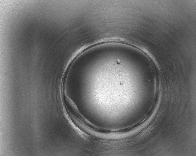 X0000058121054200509301922