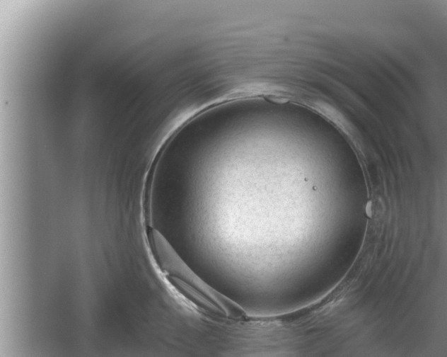 X0000058121055200509301922