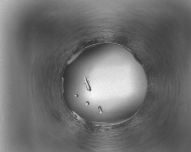 X0000058121057200509301921