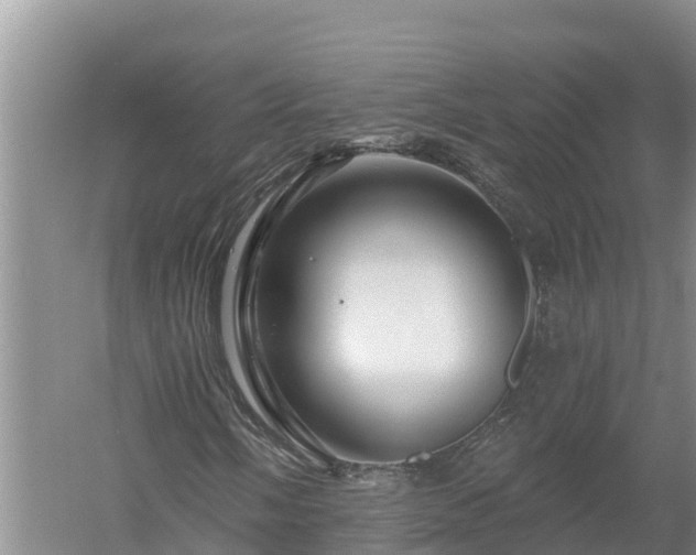 X0000058121058200509301921