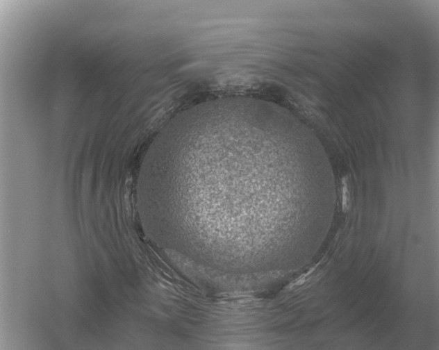 X0000058121059200509301921