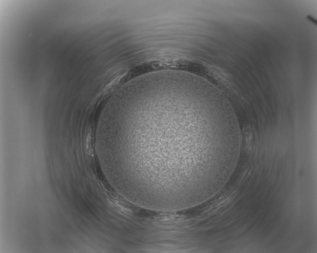 X0000058121060200509301921