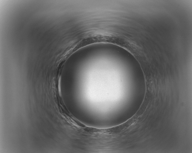 X0000058121061200509301921