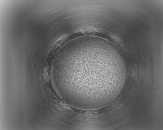 X0000058121063200509301921