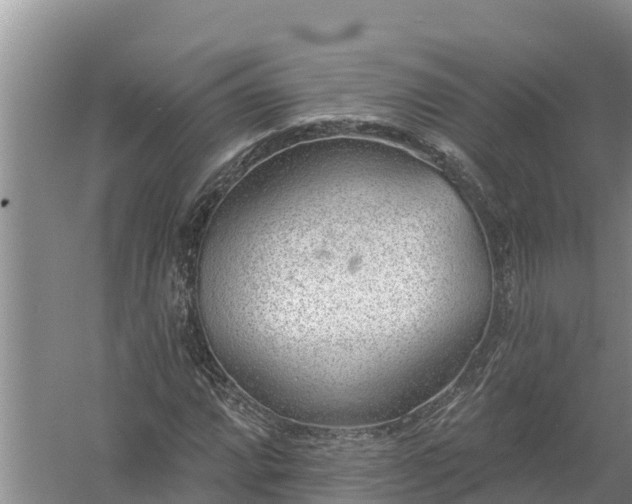 X0000058121064200509301921