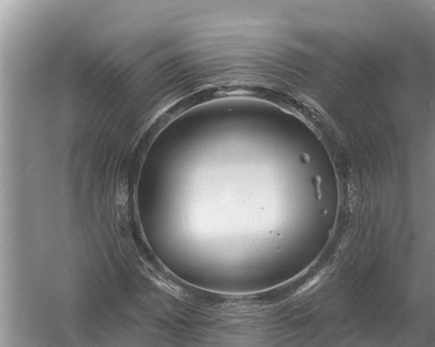 X0000058121065200509301921