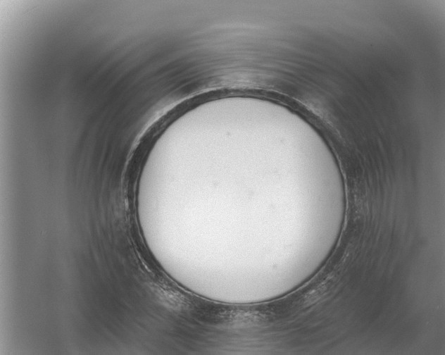 X0000058121070200509301921