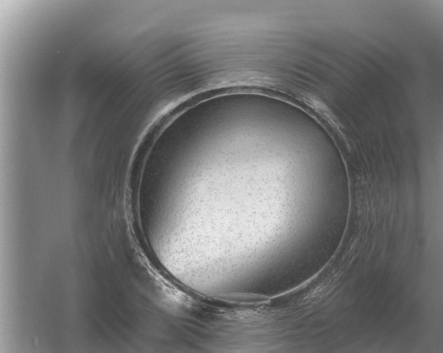 X0000058121072200509301921