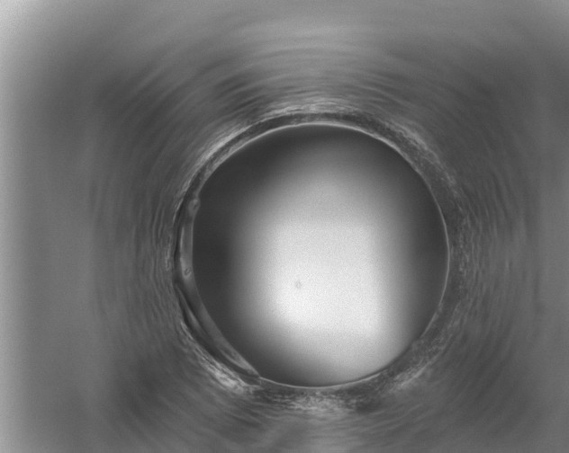 X0000058121073200509301921