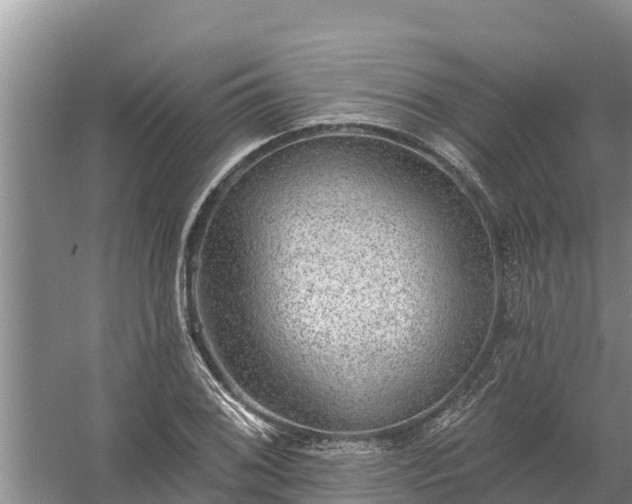 X0000058121076200509301920