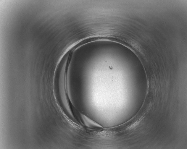 X0000058121077200509301920