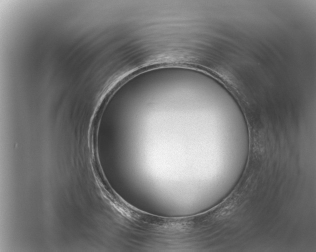 X0000058121078200509301920