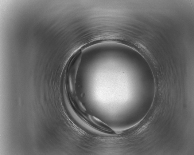 X0000058121081200509301920